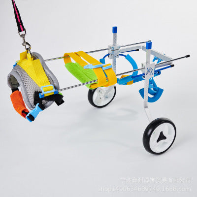 Färgglad rullstol för hundar & katter