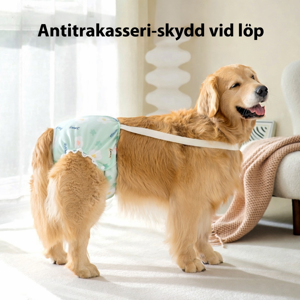Blöja för mens/löp för stora hundar