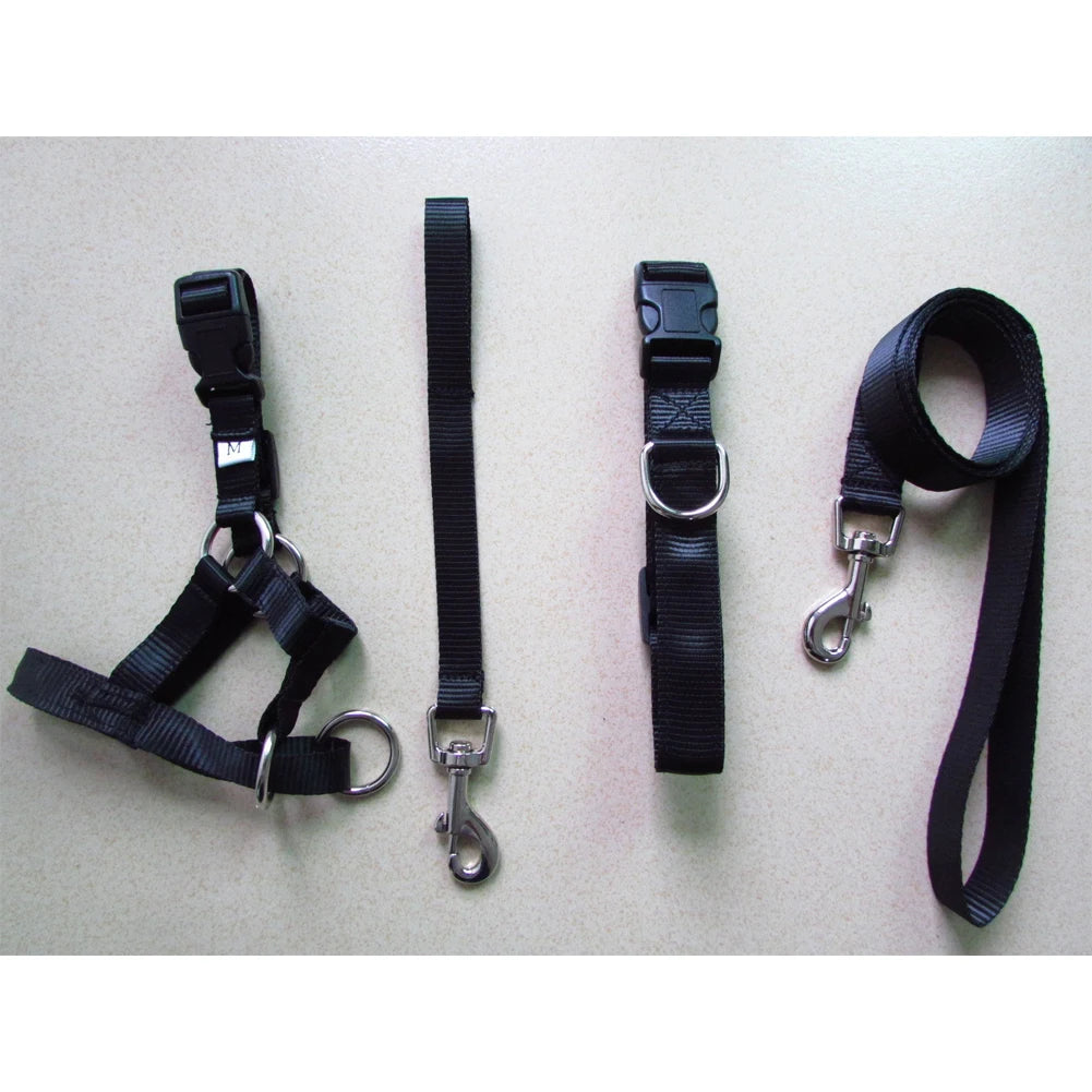 Anti-Drag Hundnossele