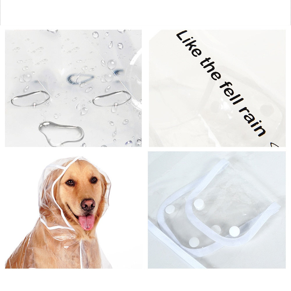 Lätt Regntäcke för Hund
