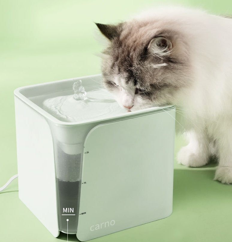 Vattenfontän för katt & små Hundar