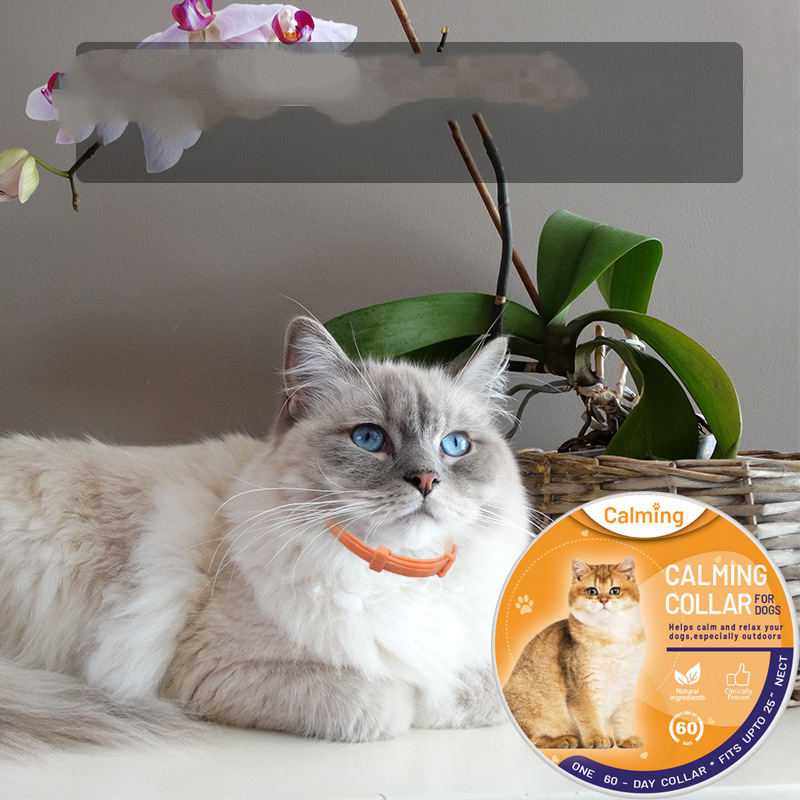 Lugnande halsband för katt och hund