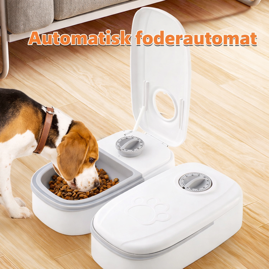 Foderautomat för Hund & Katt