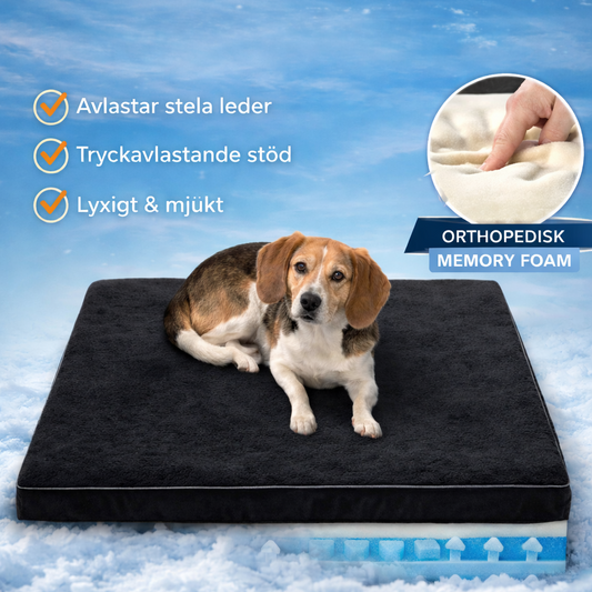Ortopedisk Hundbädd