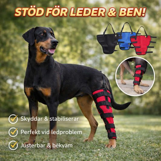 Benstöd för Hund