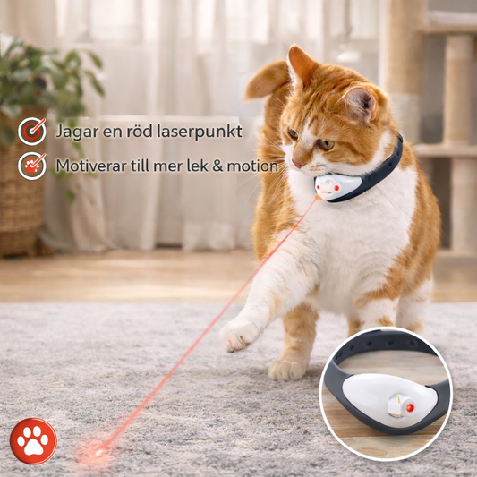 Laserhalsband för katter