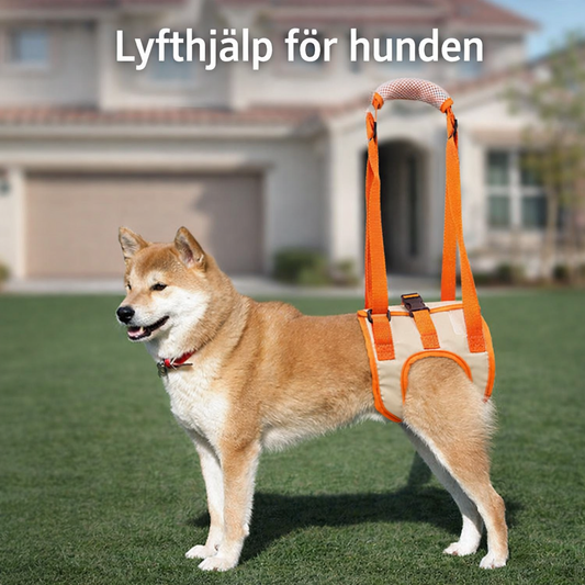 Lyfthjälp för Hund