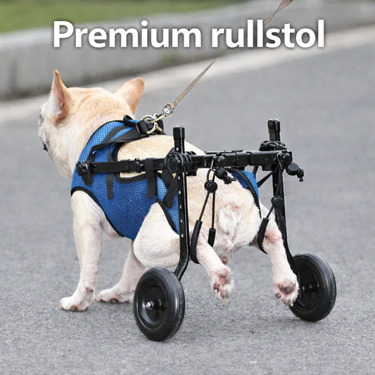 Premium rullstol för hund & katt