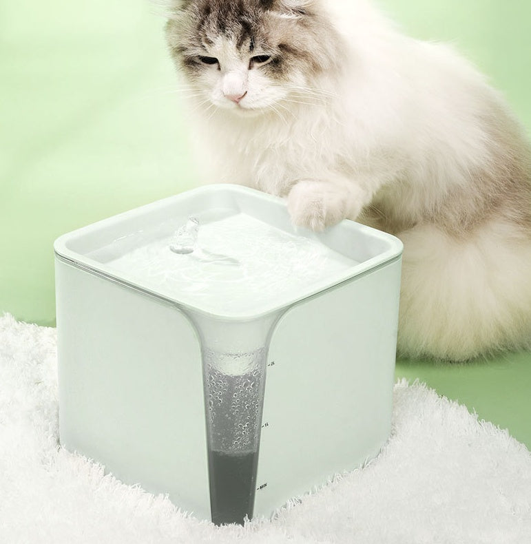 Vattenfontän för katt & små Hundar